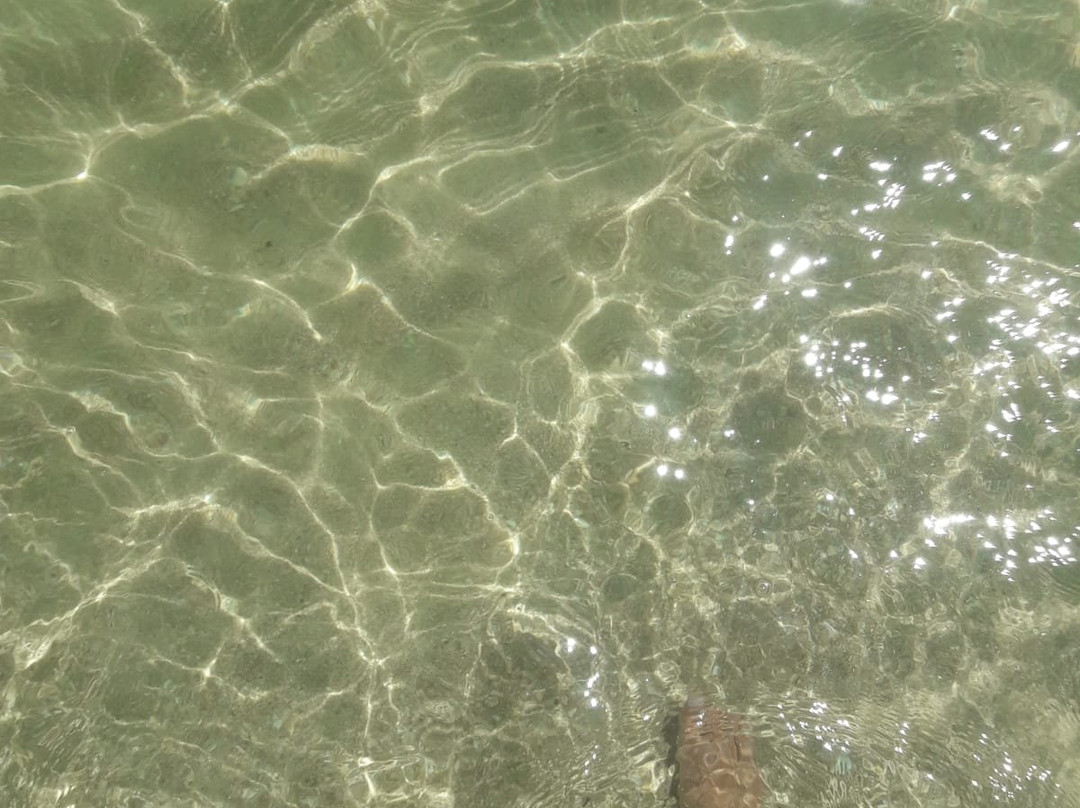 Pudarica Beach景点图片