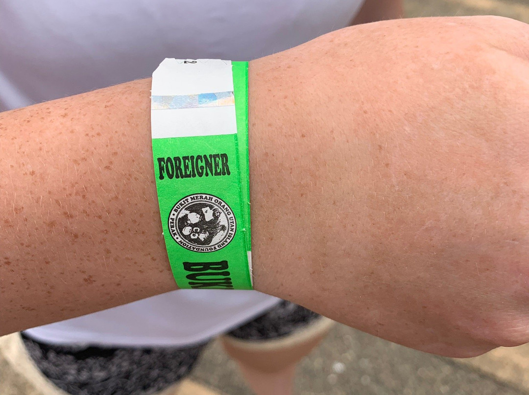 Orang Utan Island-新芒魏必去景点