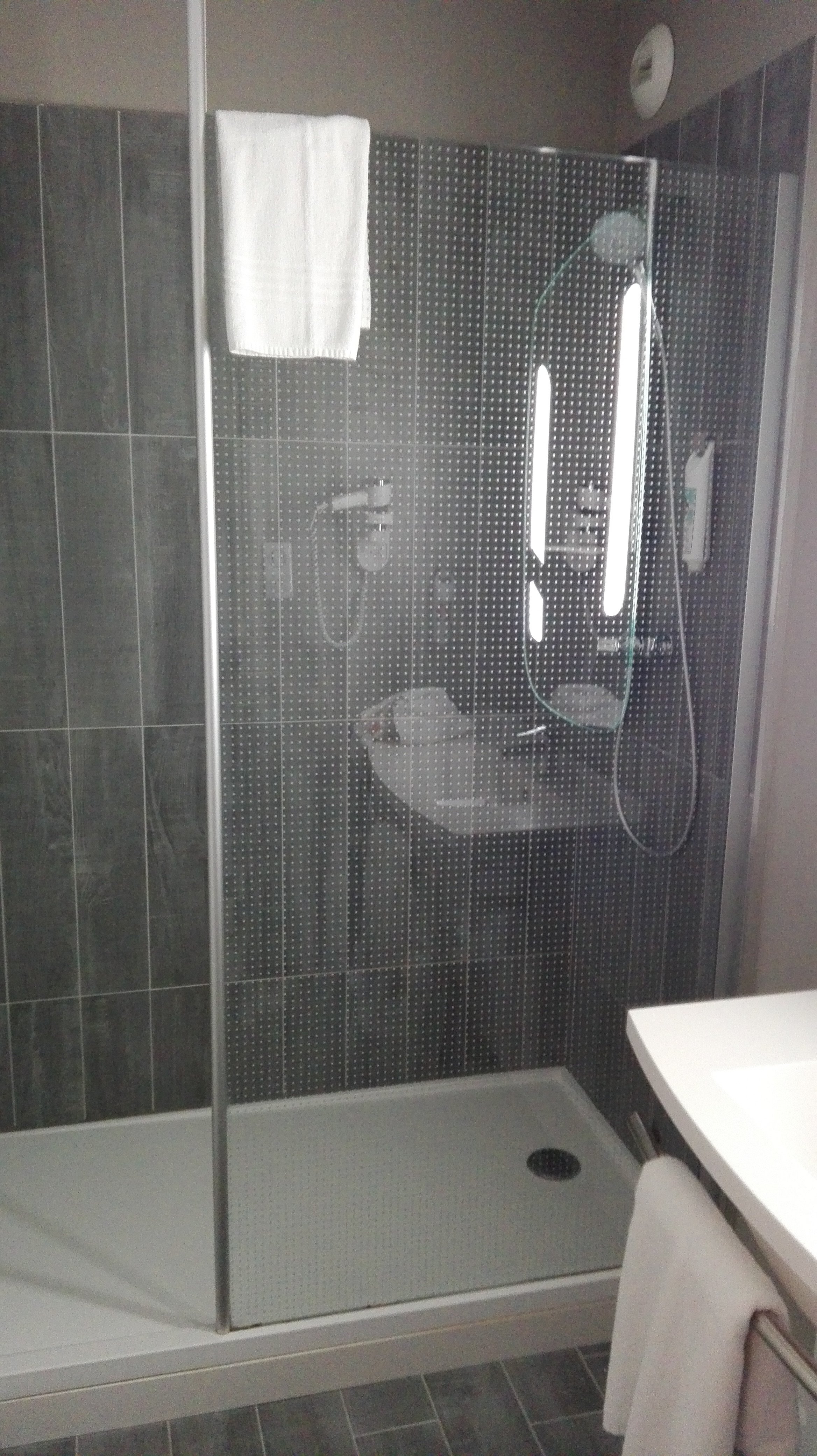 hotel restaurant Ibis Tarbes Odos-浴室
