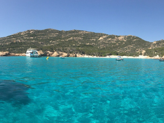 Shark Escursioni-帕劳必去景点