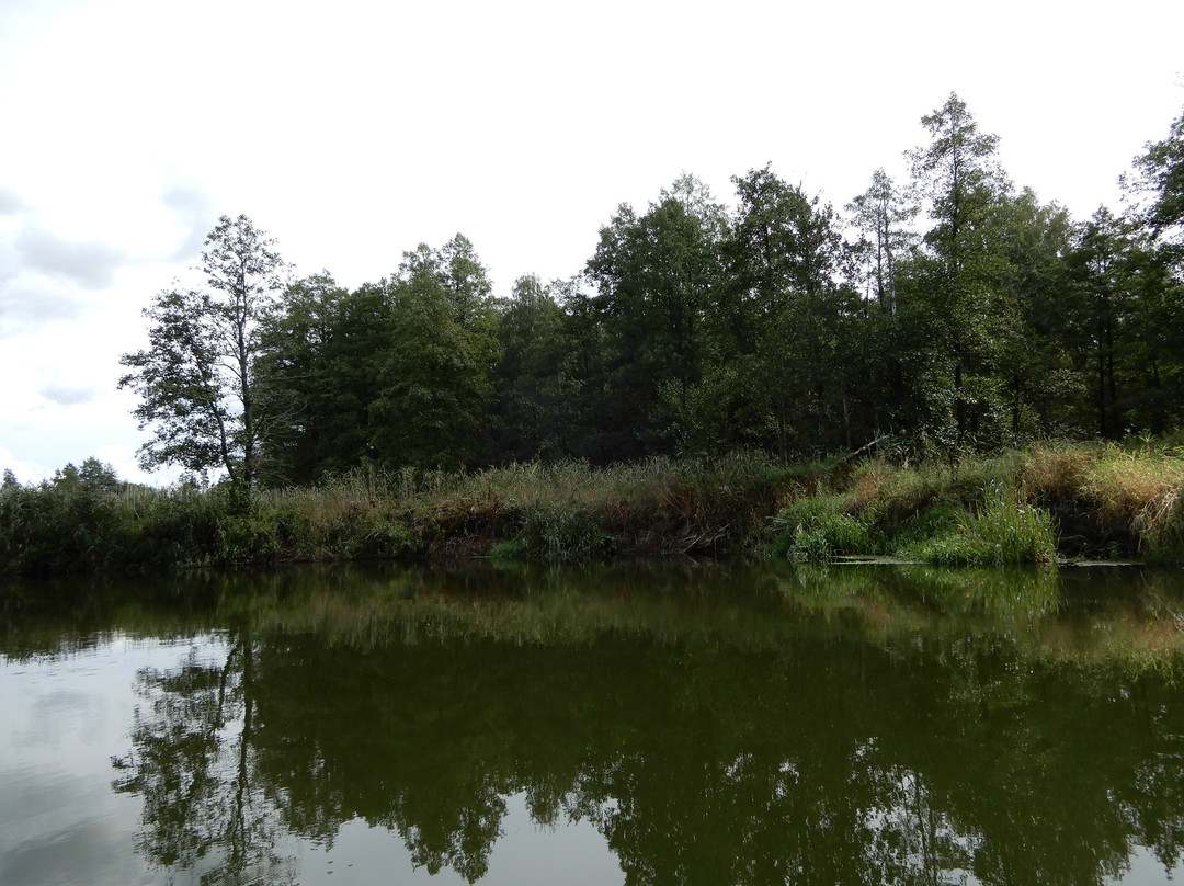 Pisz Forest景点图片