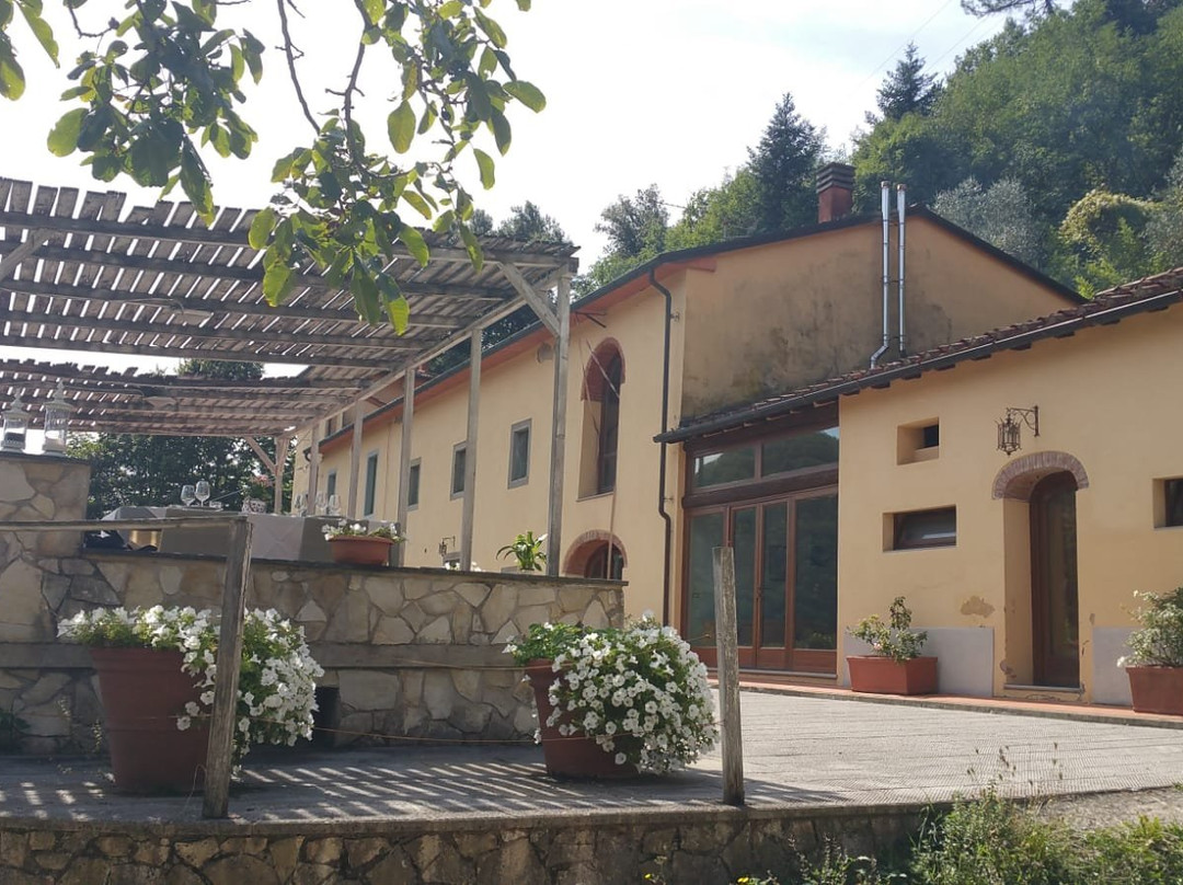 Agriturismo Podere Borsano主图