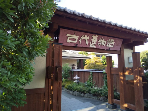 Yunoseki Kodaihasu Monogatari-行田市必去景点