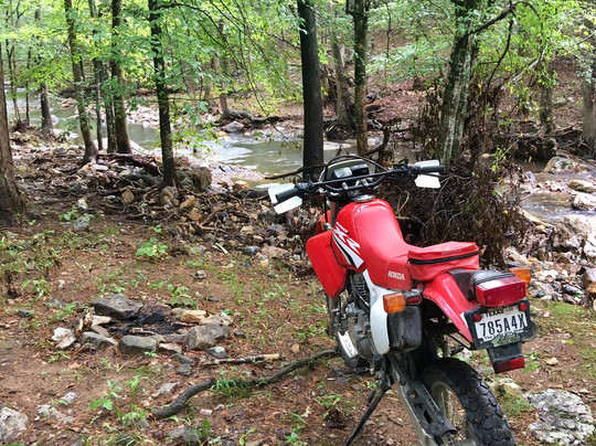 Shady Lake-Umpire必去景点