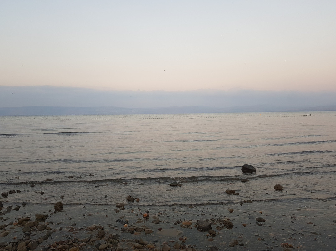 Kinar Galilee Hotel主图