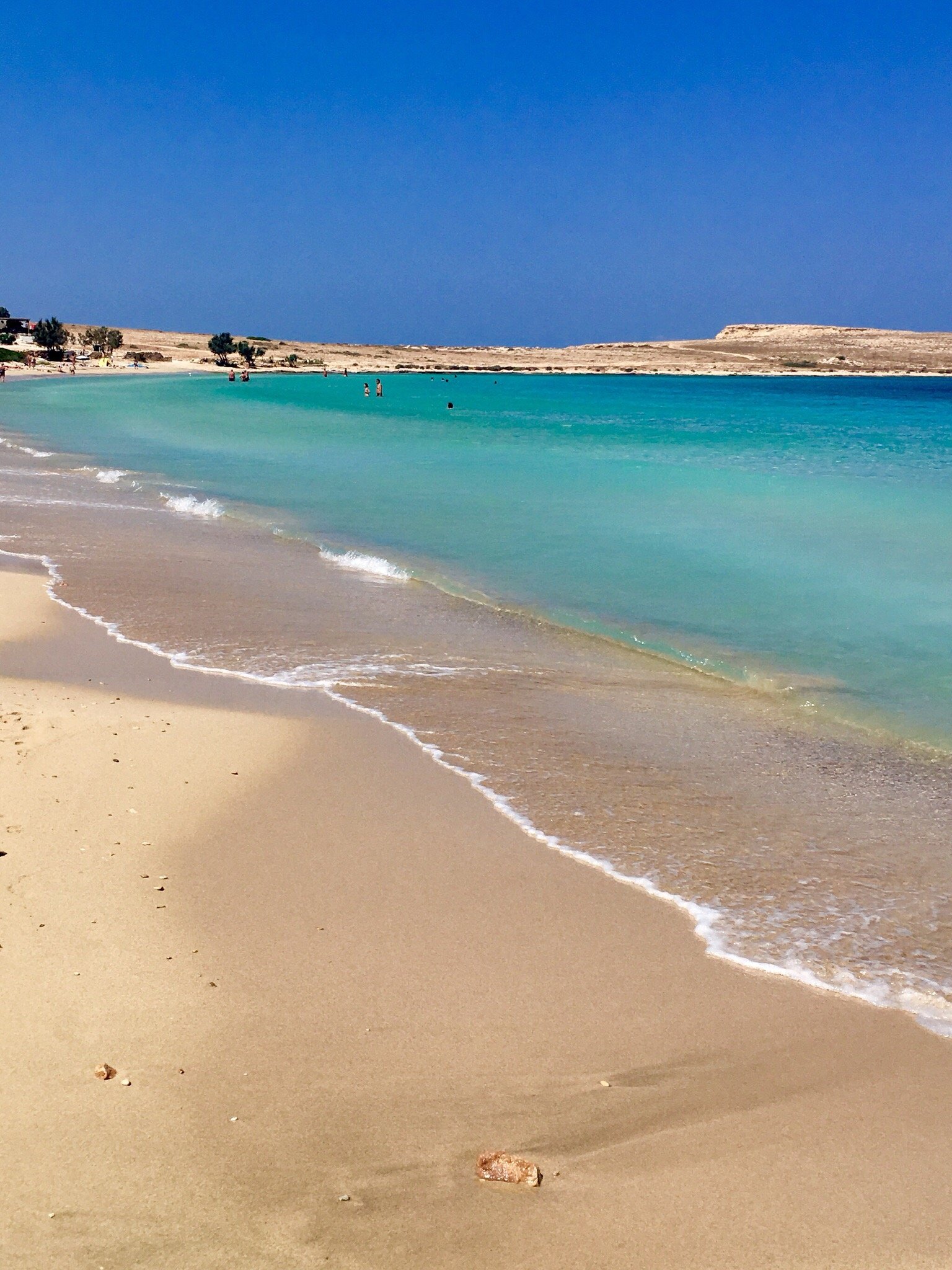 Ammos Studios-官方