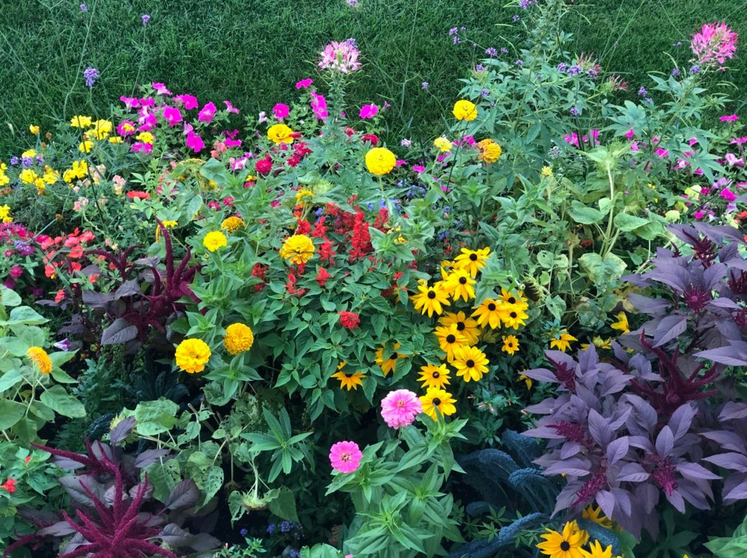 Bay Breeze Resort主图