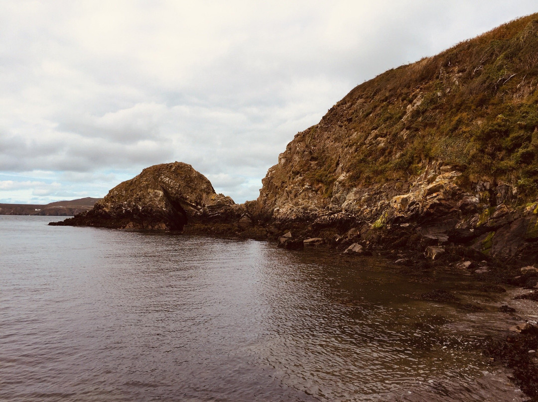 Ramsey Island Nature Reserve-St. Davids必去景点