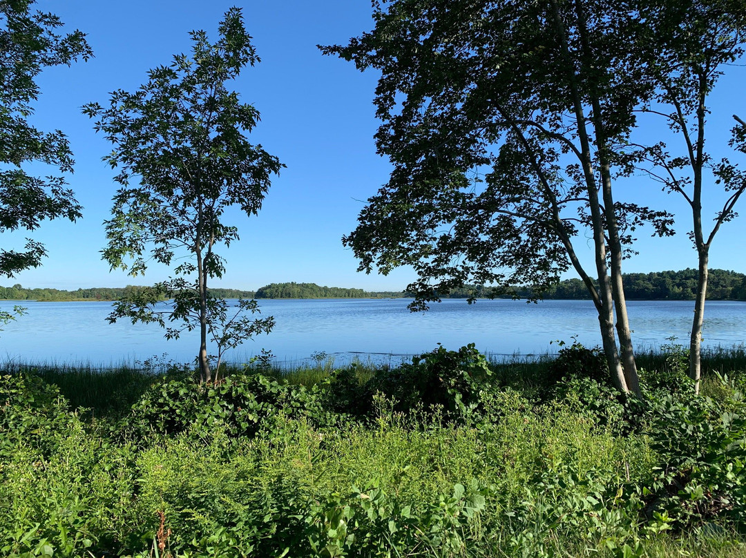 Residence Inn by Marriott Boston Bridgewater主图