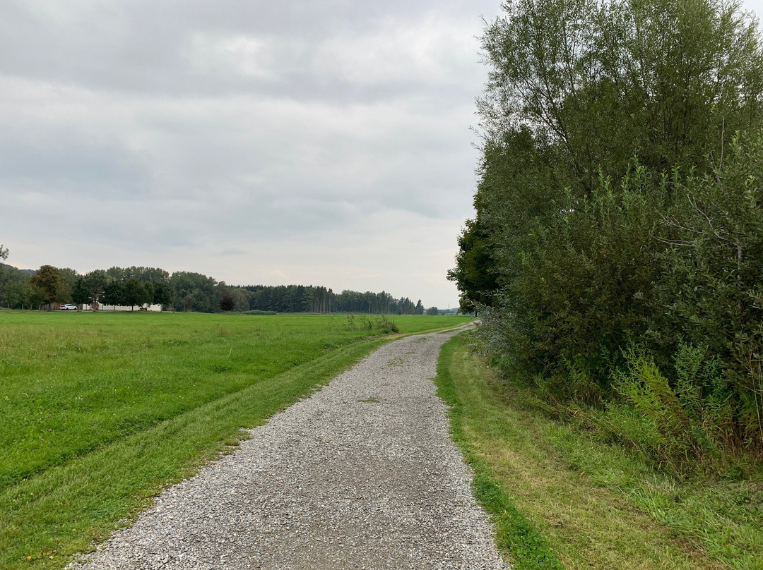 Hotel Hofgut Tiergarten主图