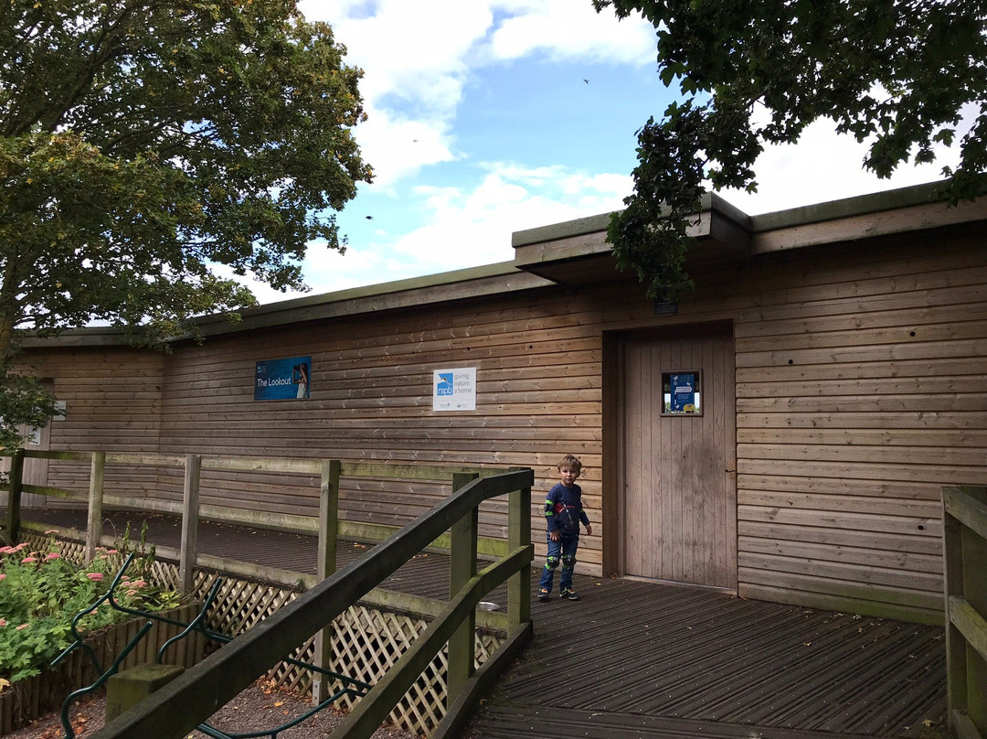 RSPB Bowling Green Marsh-Topsham必去景点