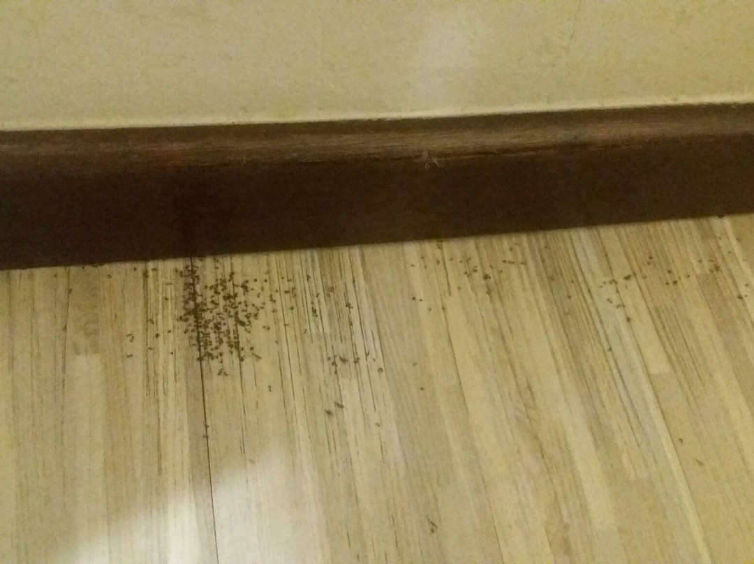 Hotel Zamburger Kuala Selangor主图