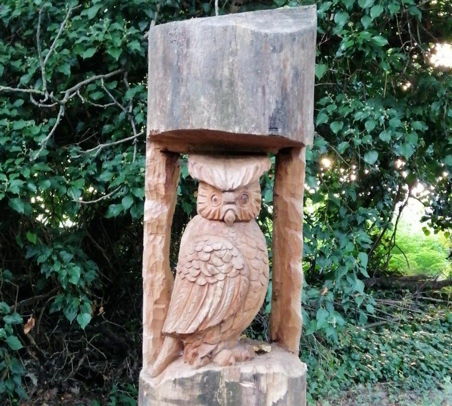 Riserva Naturale Isola Boschina景点图片