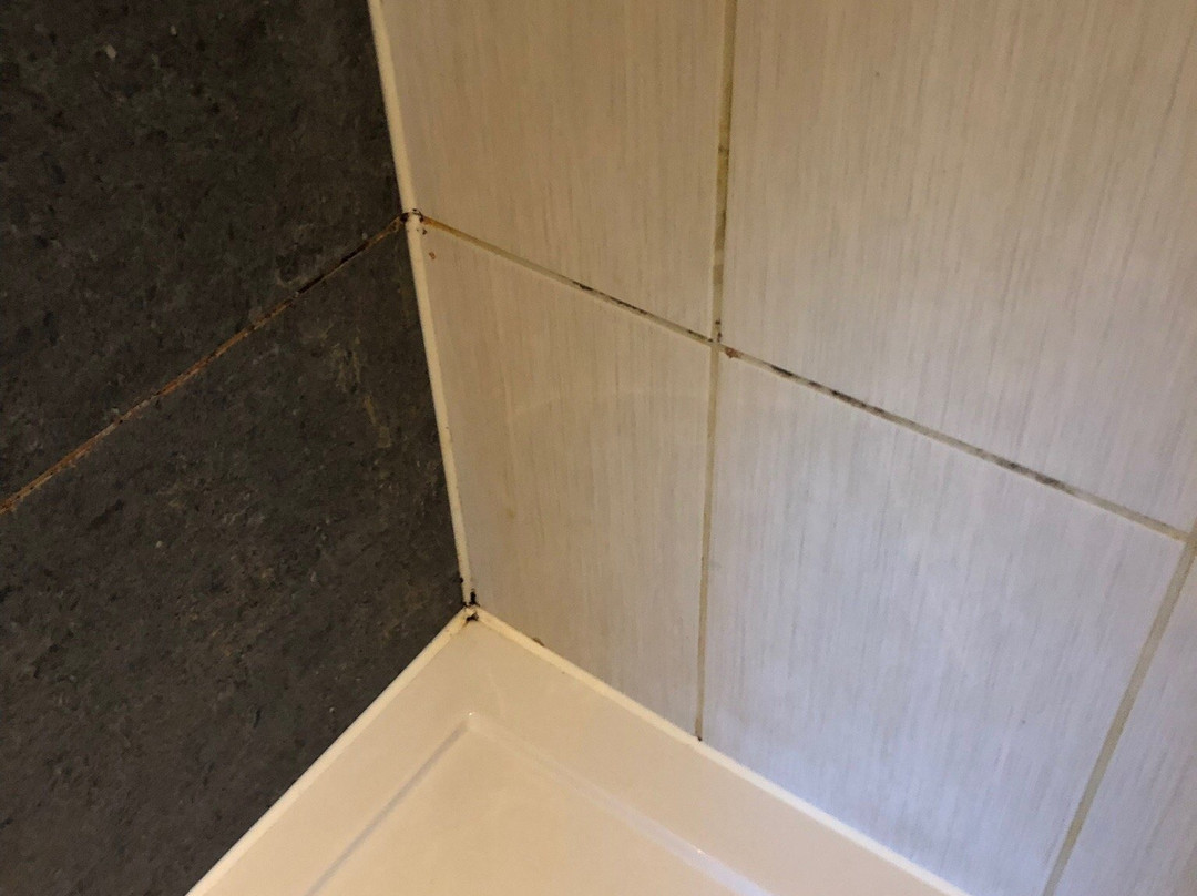 The Hatchet Inn主图