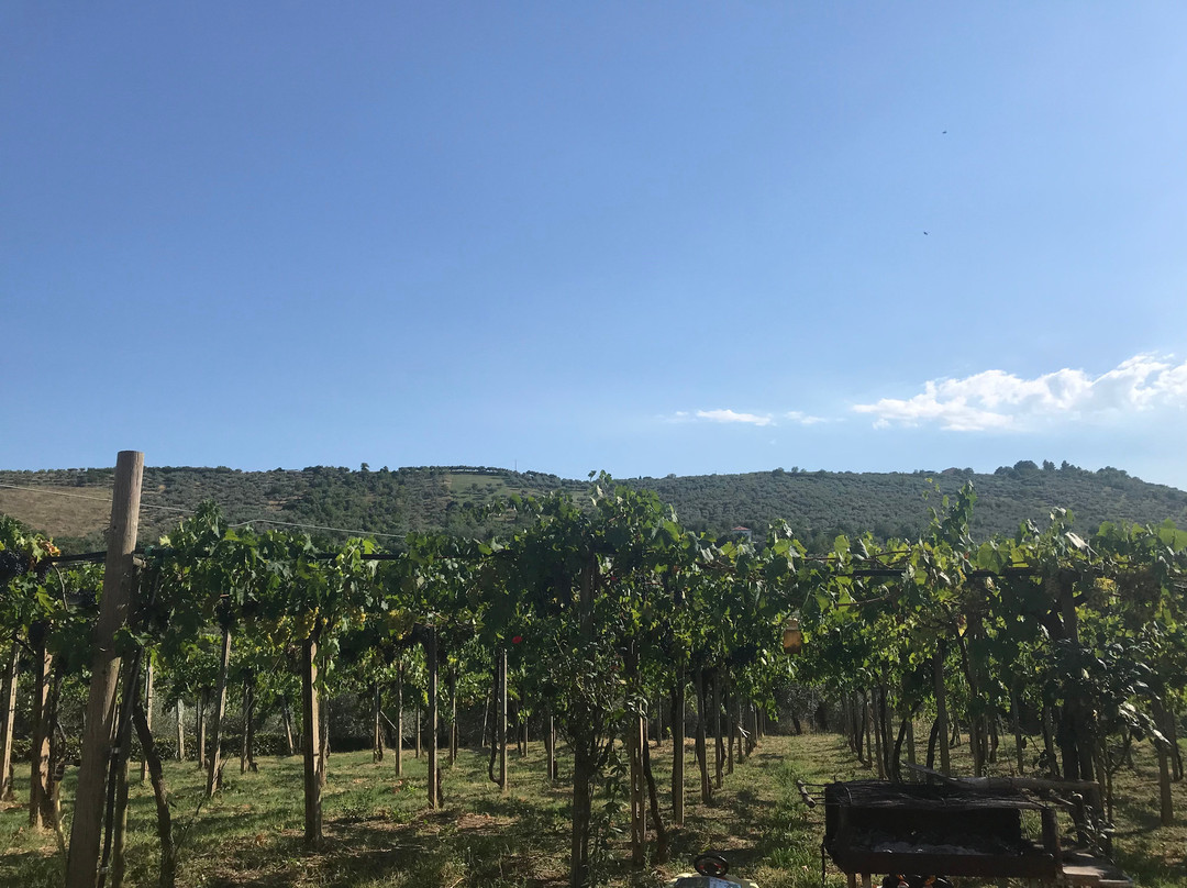 B&B Conca Del Pretore