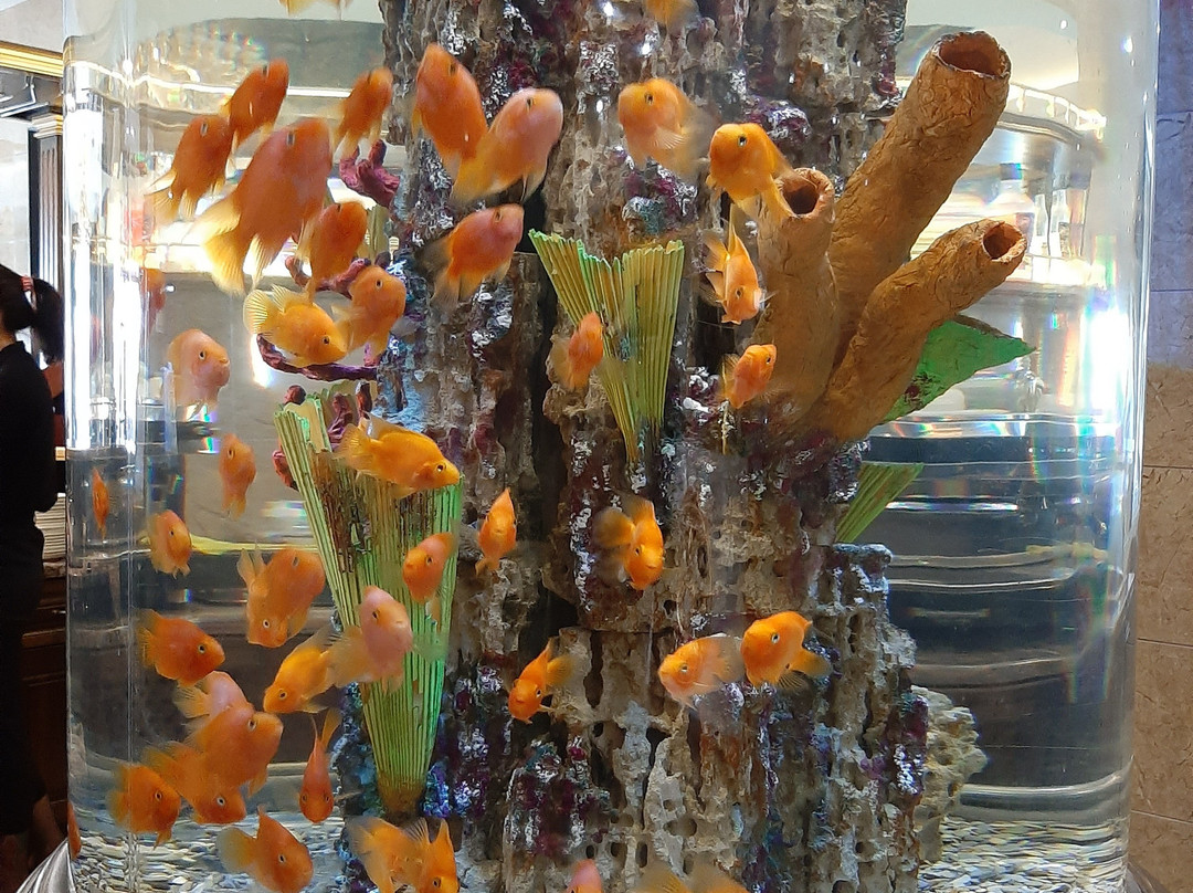 North Sea Hotel主图