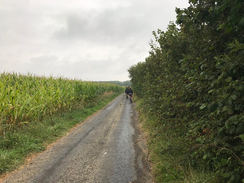 Petite Reine-巴约必去景点