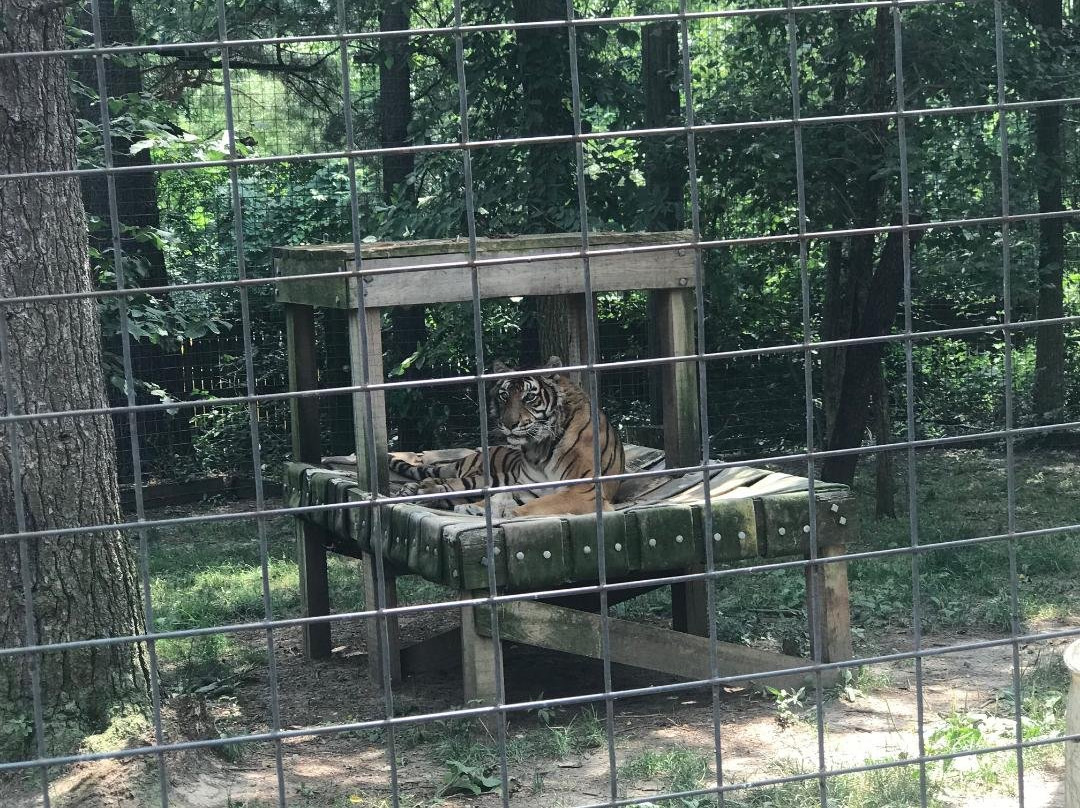 Black Pine Animal Sanctuary景点图片