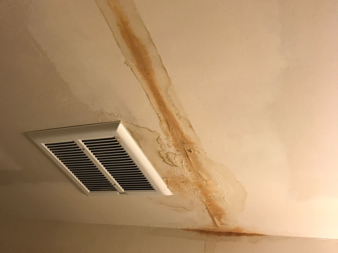 Elk Antler Inn主图