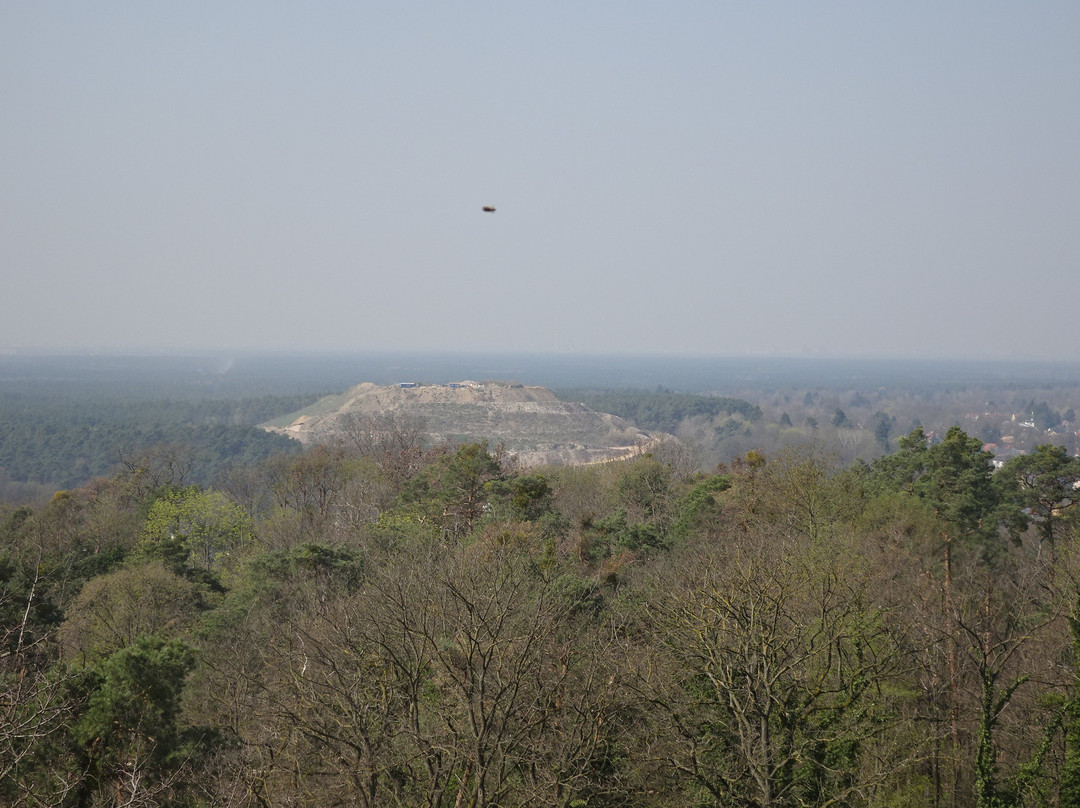 Aussichtsturm Woltersdorf景点图片
