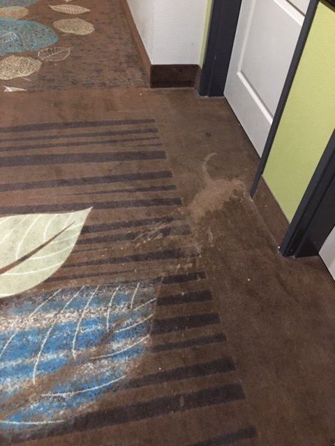 La Quinta Inn & Suites By Wyndham Marshall主图