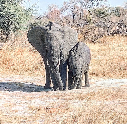 Wanderlust Campers Africa-布拉瓦约必去景点