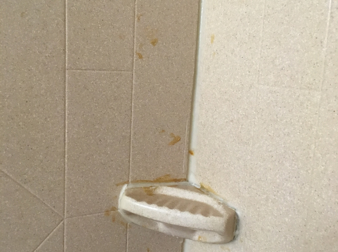 Holiday Inn Express & Suites St Charles By IHG主图