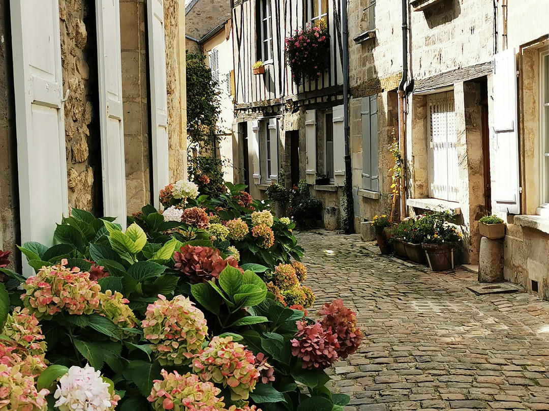 Vieille Ville de Senlis景点图片