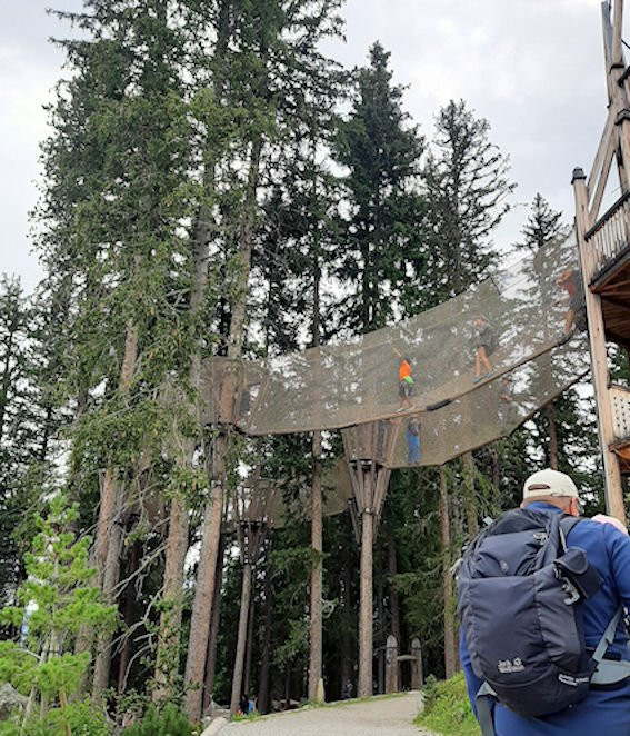 Spruce Tree Castle景点图片