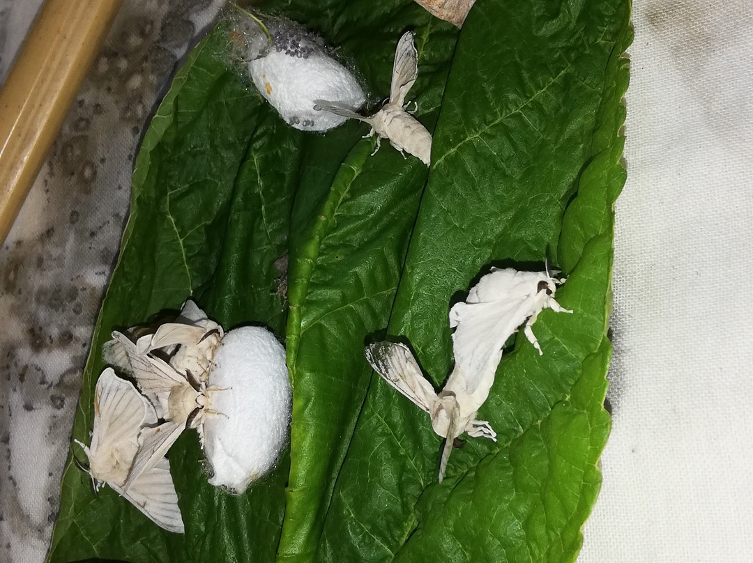 ANYWAYS EXPERIENCES-罗马必去景点