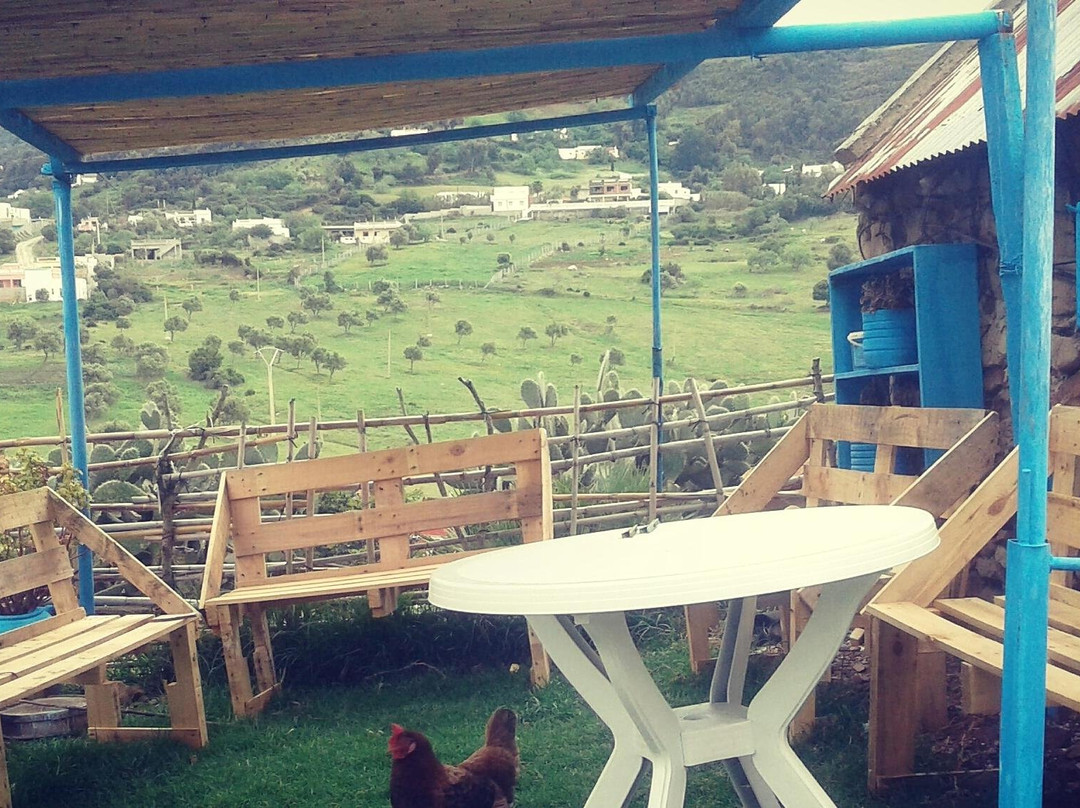 MELLOU TOUR Cooperative-丹吉尔必去景点