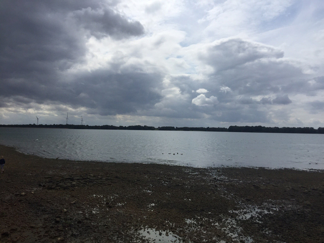 Grafham Water Park-亨廷顿必去景点