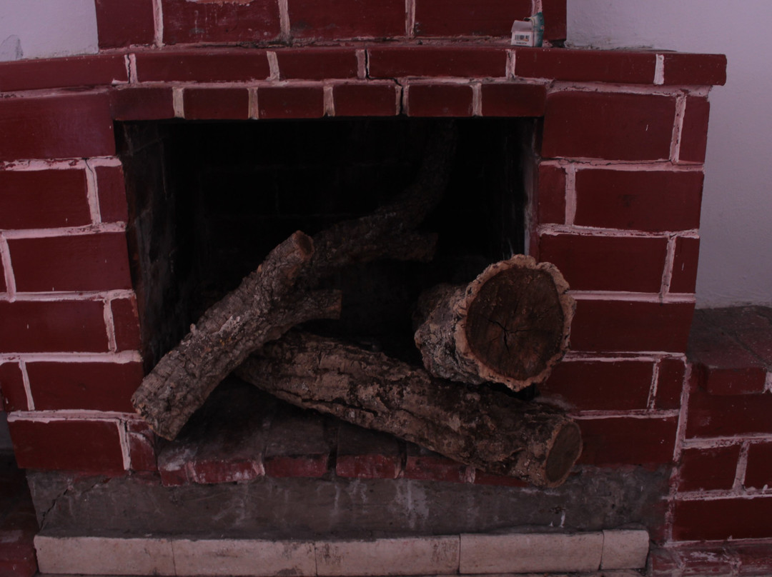 Ain Draham旅游攻略图片