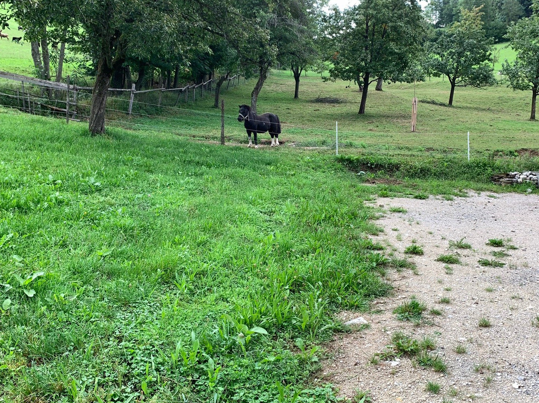 Reinsberg旅游攻略图片