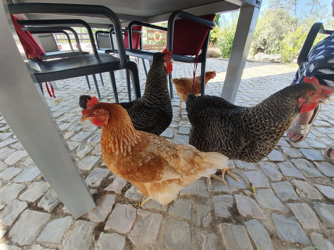 Bed en Breakfast Cas al Cubo主图