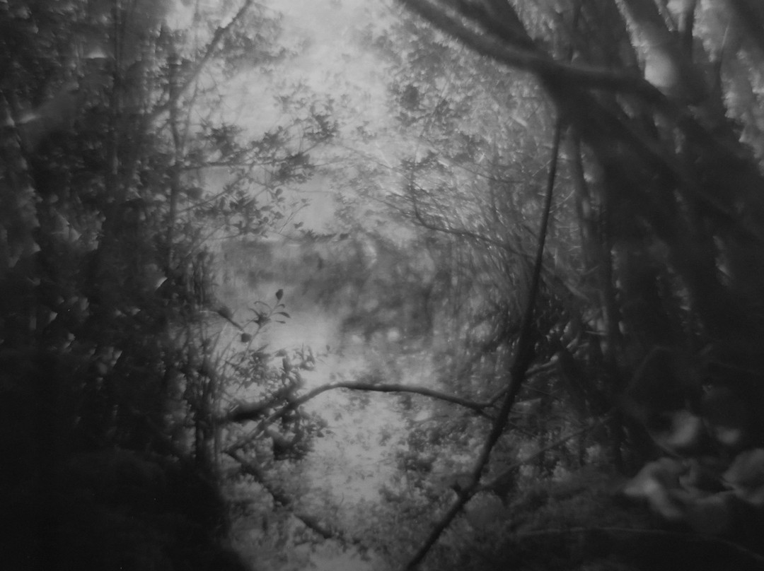 Spring Street Gallery-新肖勒姆必去景点