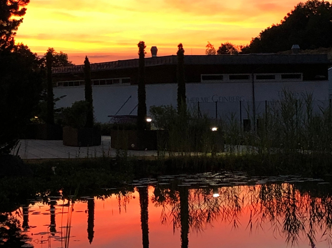 Geinberg5 Private Spa Villas主图