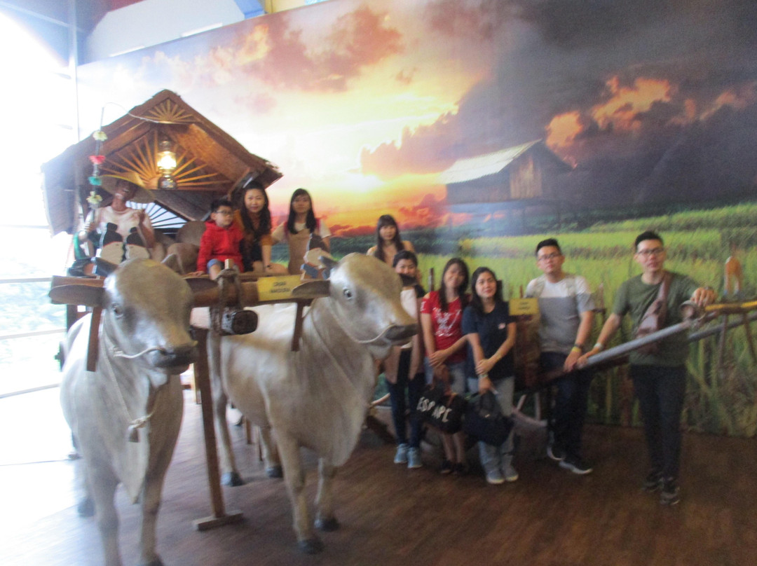 Salika Tour & Travel景点图片