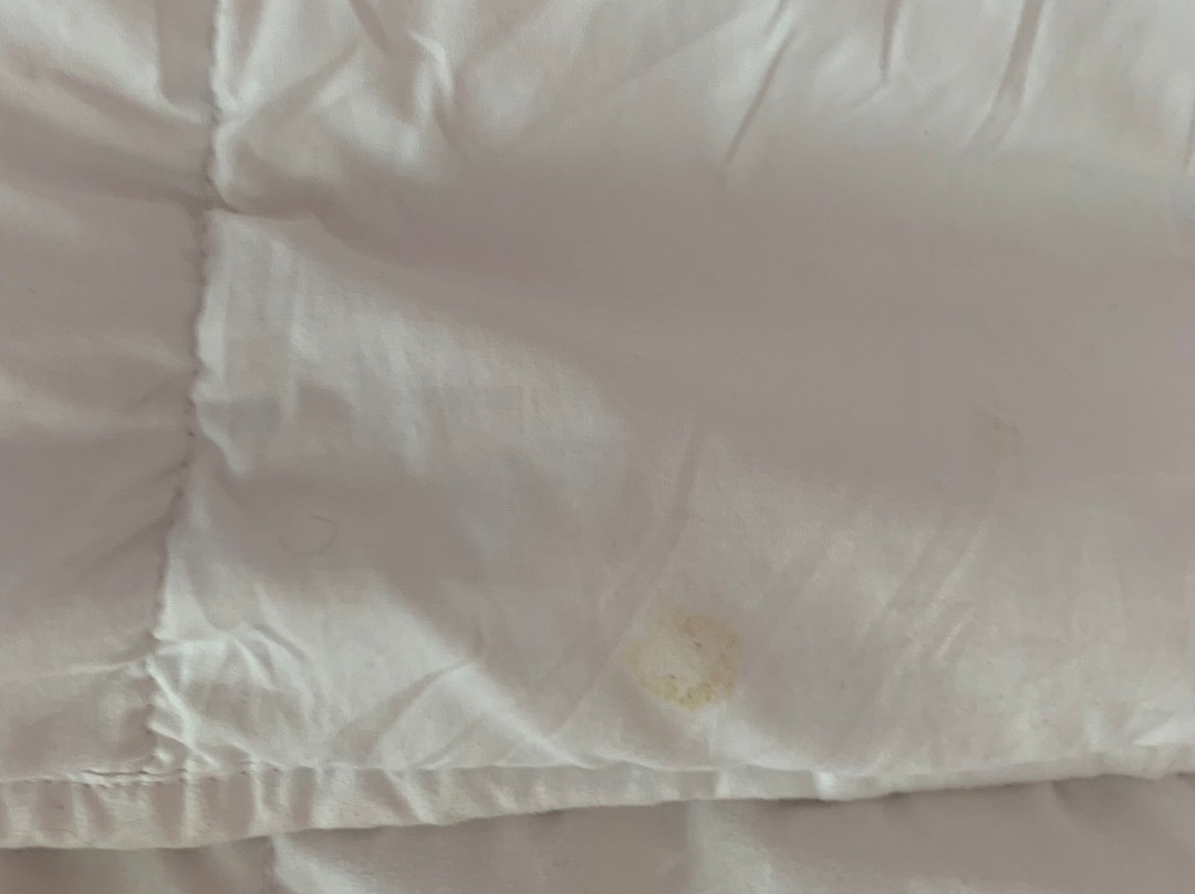 Hotel Playa Vista Mar主图