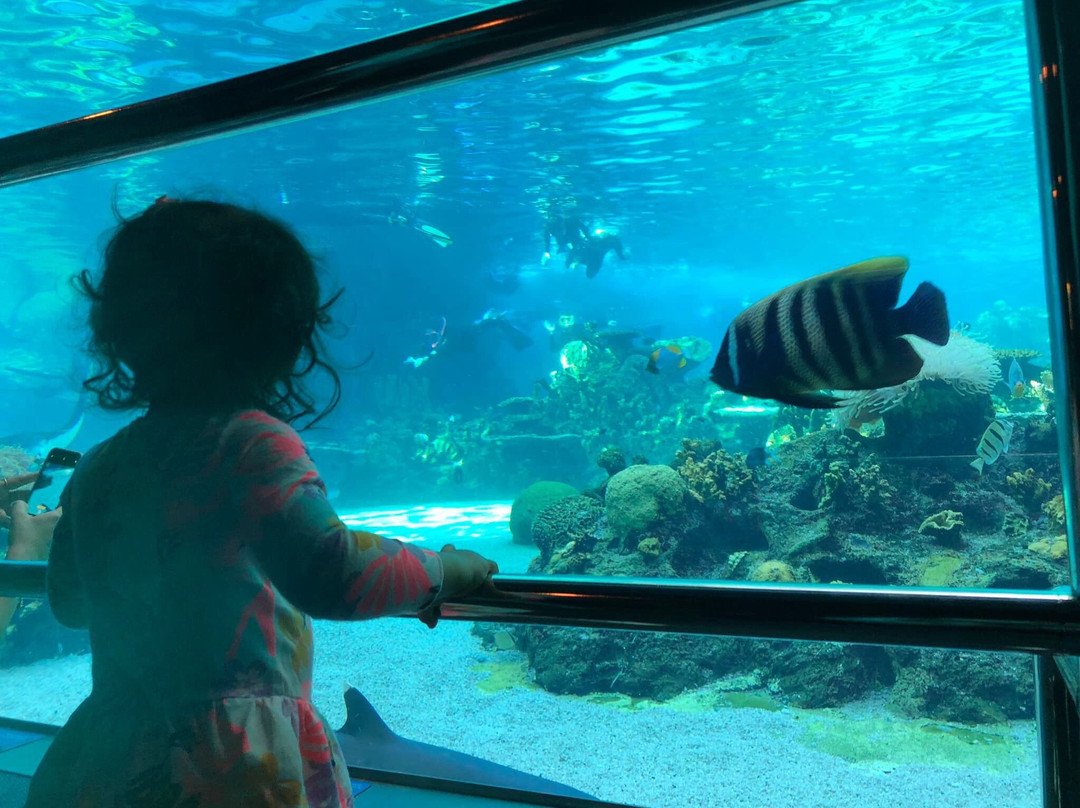 Shark Bay-梅因海滩必去景点