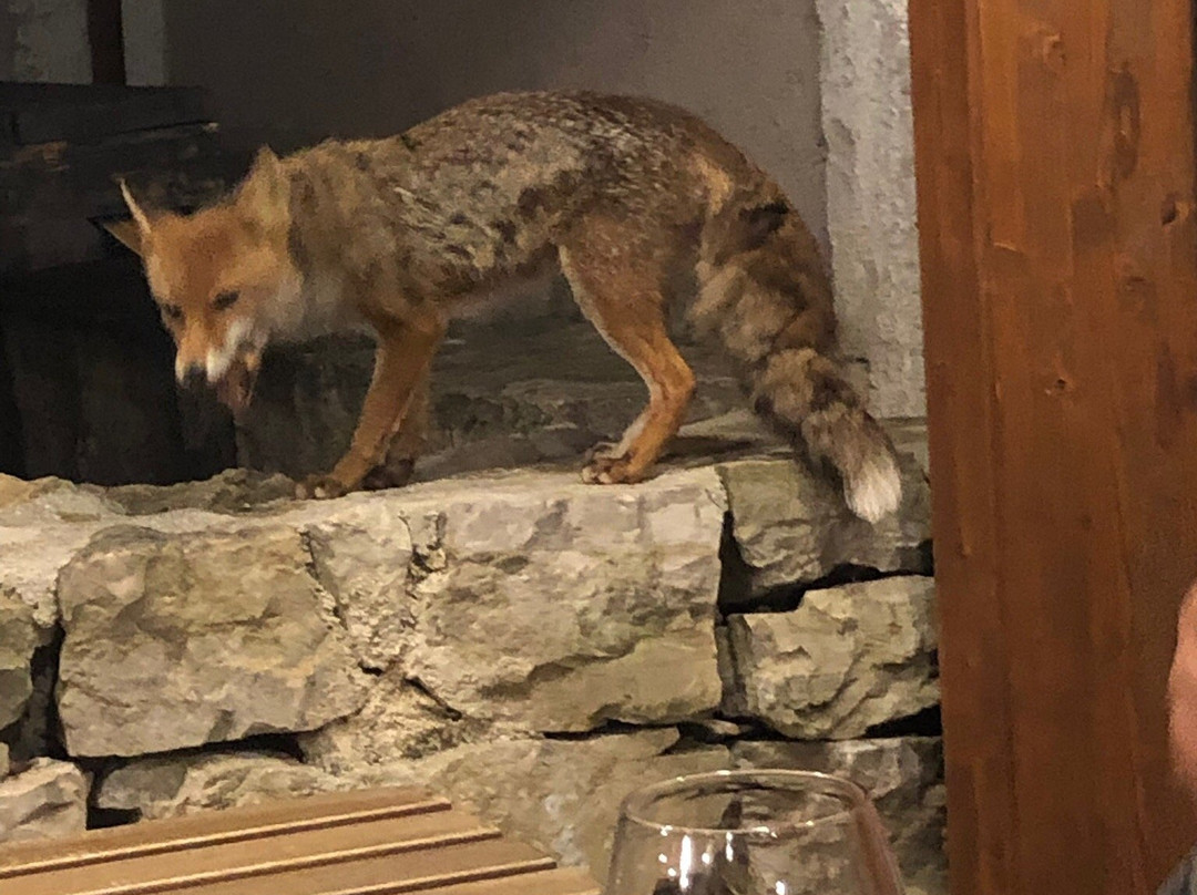 Eremo Sant'Erasmo-Roccagorga必去景点