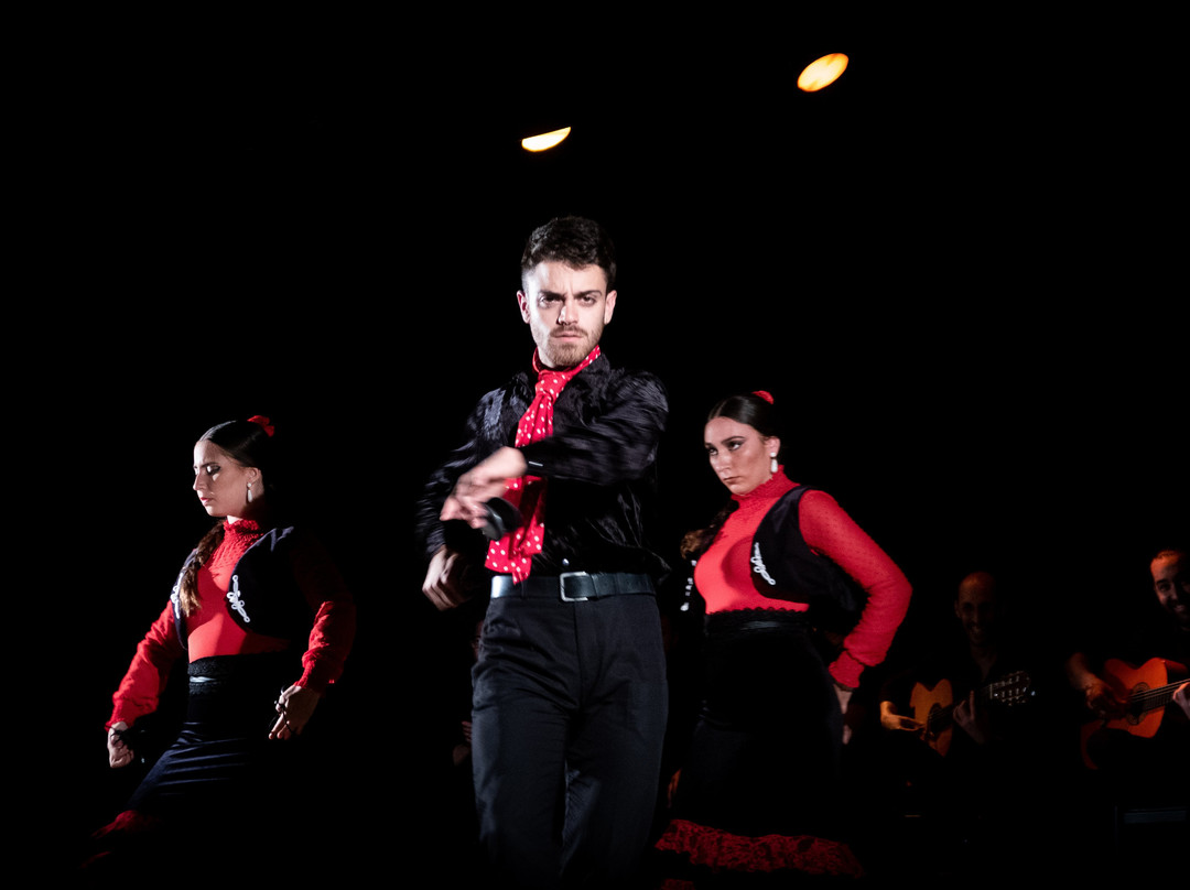 Palacio del Flamenco 剧场景点图片
