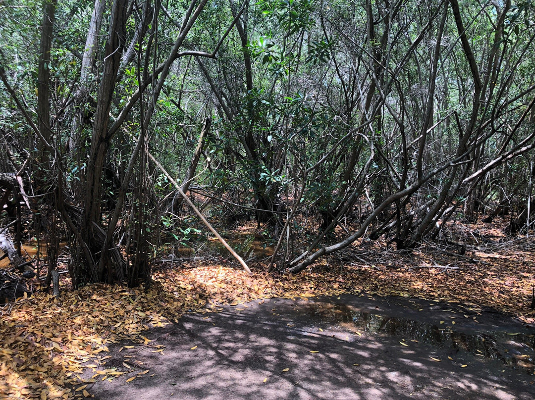 El Tortugario-Cuyutlan必去景点