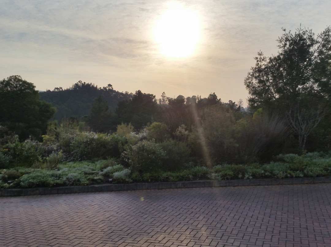 Simola Hotel Country Club & Spa主图