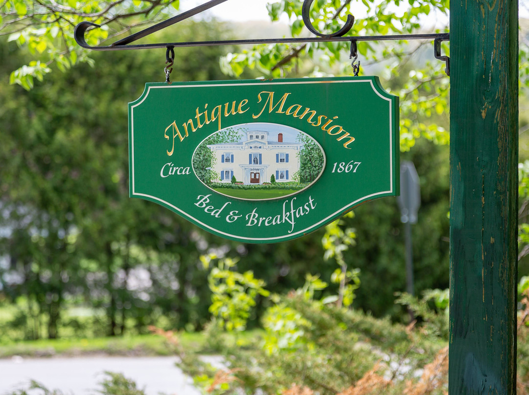 Antique Mansion B&B主图