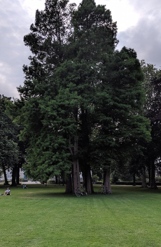 Kenaupark景点图片