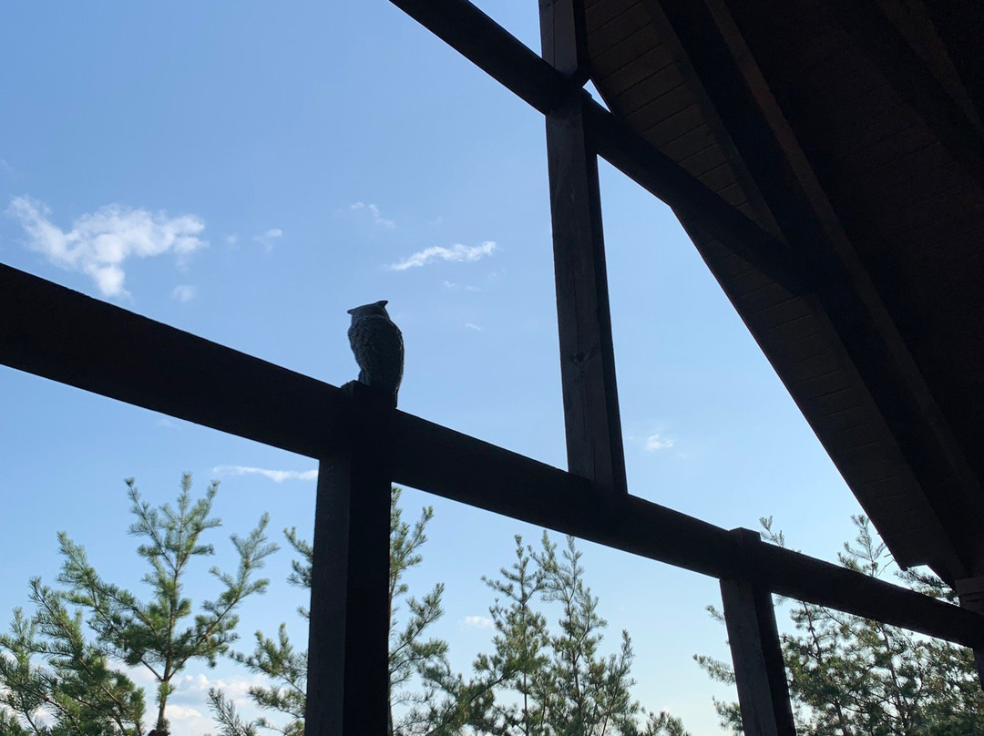 Hemlock Hills Resort主图