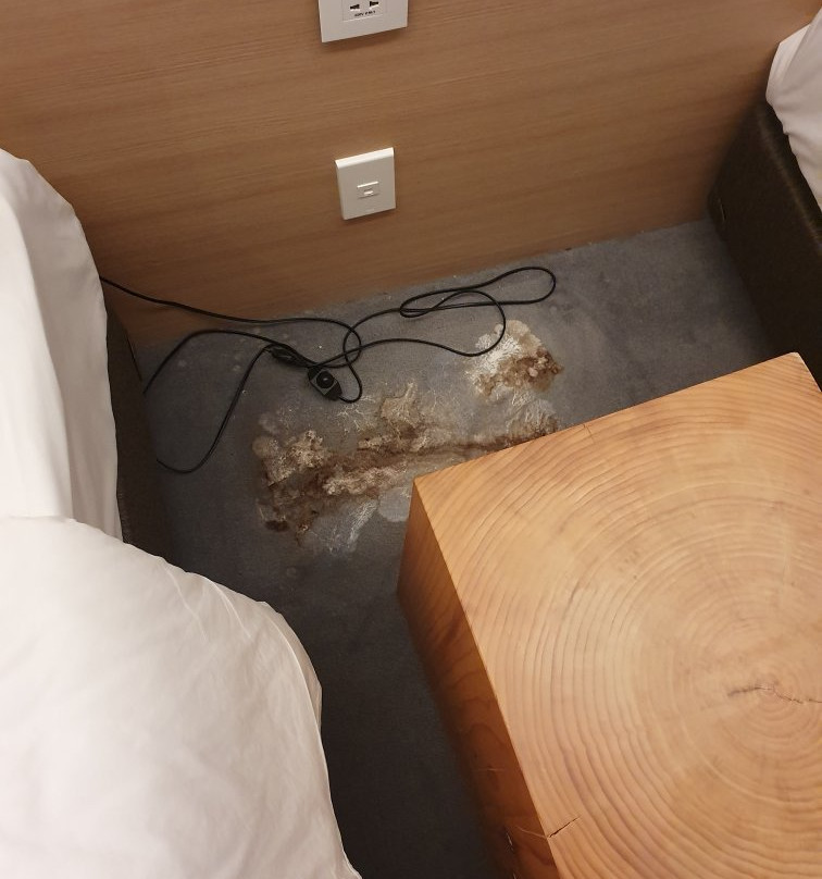 H Hotel Sejong City主图