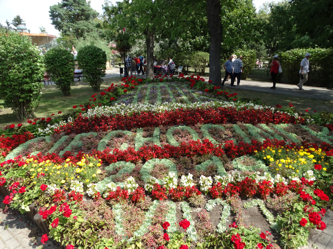 Grzybek Fountain-Ciechocinek必去景点