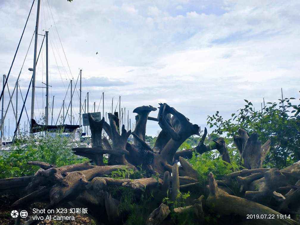 Colonel Sam Smith Park-多伦多必去景点